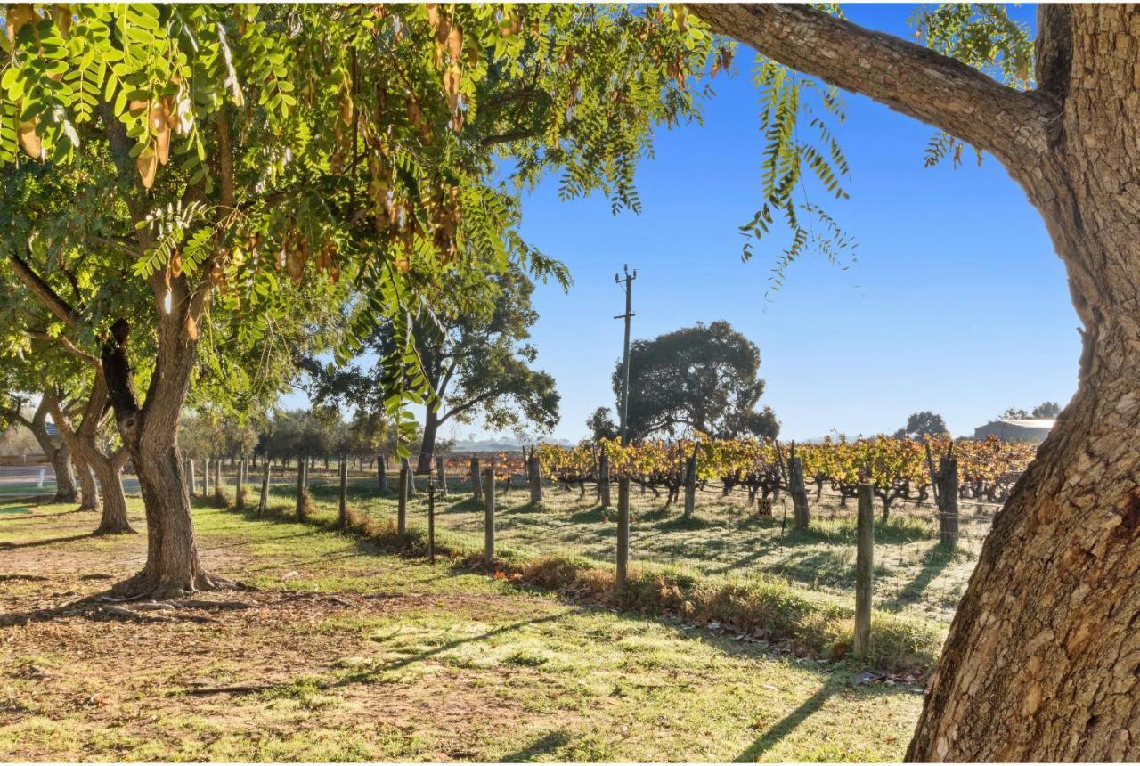 Discovery Parks - Swan Valley Caversham Bagian luar foto