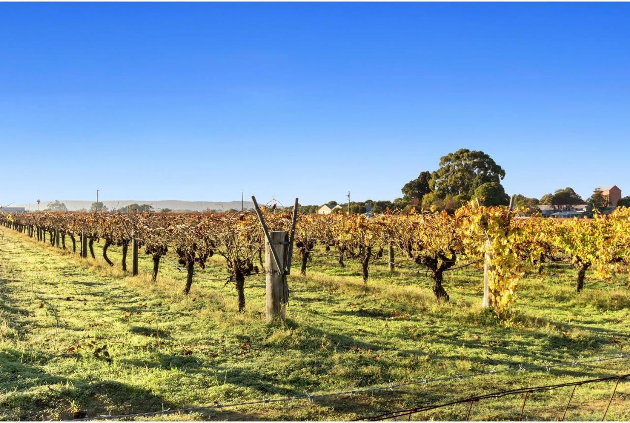 Discovery Parks - Swan Valley Caversham Bagian luar foto